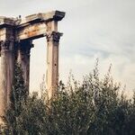In Trump They Trust: Bread and Circuses