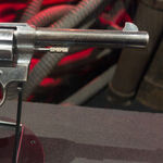 The Constitution, the President and Guns