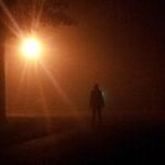 Trump's Beast in the Night