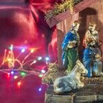 Taking Christmas Seriously