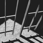 More Government Crimes