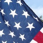 A Government That Assaults Liberty