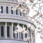 A Government by Experts