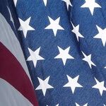 Freedom's Extinction