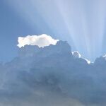 Pessimistic About Politics, Optimistic About America