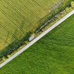 The Government Controls Too Much Land in the West