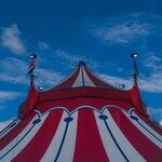 What Have We Traded For Our Bread And Circuses?