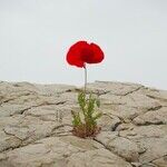 In a World That Keeps Telling Us No, Resilience Becomes Resistance
