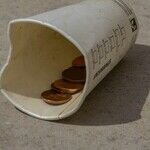 The 'Debate' Over Global Poverty Continues