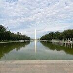 Dropped Cases Against Alleged Reflecting Pool Vandals Reflect a Rush to Judgment: Trump Still Seems to Think the Question of Individual Guilt or Innocence Is Irrelevant