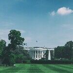 Trump at the Midpoint: Power, Progress and the Price of Chaos