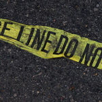 Balancing Vigilance and Fear