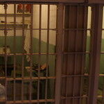 Death Sentence in California More Often a Life Sentence