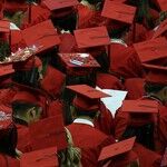 Student Loan Bubble Keeps Growing
