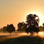 Small, Rural Hospitals Face a Bleak Future
