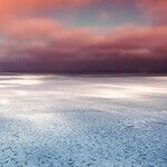 New Climate Change Report Likely to be Ignored