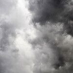 The Storm's Eye in the Sky