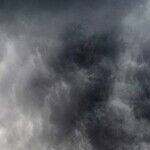 Remember the Other Storm Victims