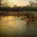 Flood Program Needs Reform