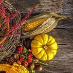 The Truth Behind Thanksgiving Day