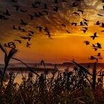Daylight Saving Time Should Fade Away