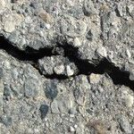 Nation's Infrastructure Needs Help