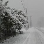 Think Safety in Extreme Cold