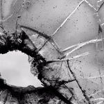 Stop School Shootings With Security Act