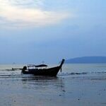 Offshore Well Rules Should Be Made Law