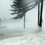 Don't Let Your Hurricane Guard Down
