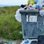 'Compostables' Don't Reduce Garbage Waste Unless They're Actually Composted