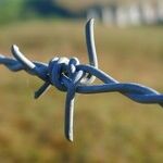 Strike a Deal on Wall Funding