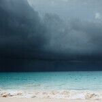 Clear Hurricane Victims' Path to Help