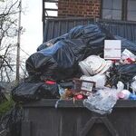 Recycling Our Ideas on Waste