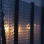 Why President Trump Keeps Winning on the Immigration Issue
