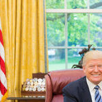 Bullying and Coercion Never Works With Mexico. So Why Is Trump Trying It?