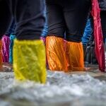 More Chaos Than Clarity in Trump's Handling of Border Migratory Flood