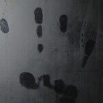 Jeffrey Epstein and the Democratic Party