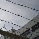 Government Report Charts the Human Cost of Trump's Family-Separation Policy