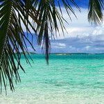 Grant Protected Status to Bahamians