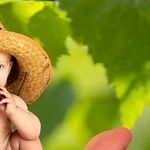 Don't Panic, Be Cognizant About Baby Food Report