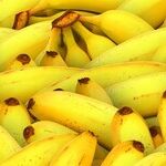 Barr's Criminal Probe of the Russia Investigation Is Truly Banana-Republic Stuff