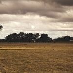 For Farmers Hit by Climate Change, Trump Offers Only Anti-Science Hokum