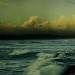 Rising Seas From Warming Will Imperil Millions More Than Earlier Predicted
