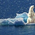 Administration Kowtowing to Industry Sustains Trajectory Toward Climate Disaster