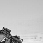 Trump Invigorates Militia Threats. What Happened To The Law-And-Order GOP?