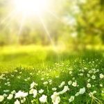 The Best Lies Ahead of an Easter in Darkness
