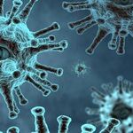 Trump Administration Admits It Has Surrendered To the Coronavirus