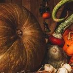 Adjusting to the New Thanksgiving Reality