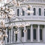 McConnell Is Right About Rep. Greene's Lunacy. But Trumpism Is the True Ailment.